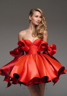 Вечернее платье Принцесс Руж-V70832. С пышной юбкой, короткое без шлейфа.